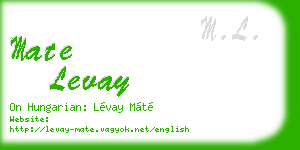 mate levay business card